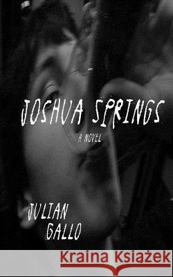 Joshua Springs Julian Gallo 9781986099301 Createspace Independent Publishing Platform