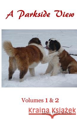 A Parkside View: Volumes 1 & 2 Bob Hocking 9781986104401