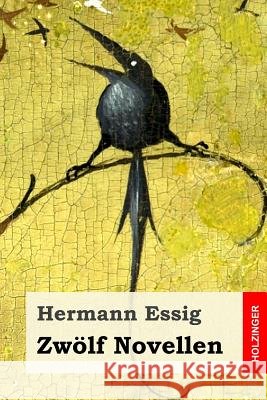 Zwölf Novellen Essig, Hermann 9781986143967