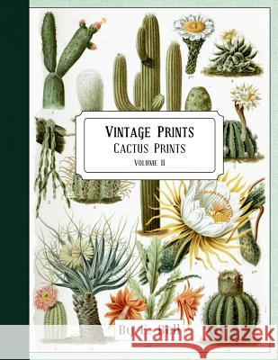 Vintage Prints: Cactus Prints E. Bell 9781986193504 Createspace Independent Publishing Platform