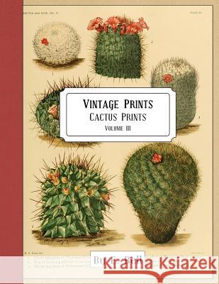 Vintage Prints: Cactus Prints E. Bell 9781986211161 Createspace Independent Publishing Platform