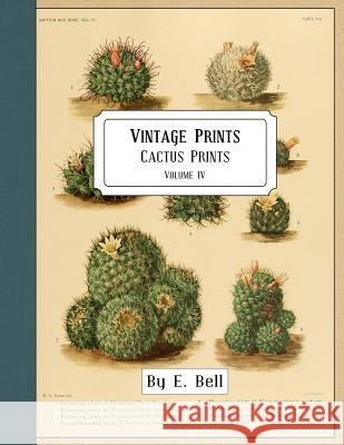 Vintage Prints: Cactus Prints E. Bell 9781986212199 Createspace Independent Publishing Platform