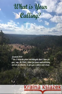 What is Your Calling? Hamlin, Stacyjo 9781986401586