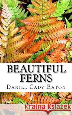 Beautiful Ferns Daniel Cady Eaton J. H. Emerton Charles Edward Faxon 9781986414012 Createspace Independent Publishing Platform