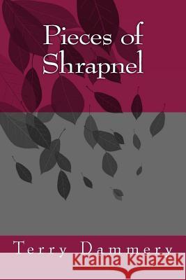 Pieces of Shrapnel Terry Dammery 9781986430135 Createspace Independent Publishing Platform