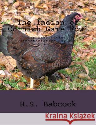 The Indian or Cornish Game Fowl: Its Description, Characteristics, Origin, History and Breeding H. S. Babcock Jackson Chambers 9781986527200 Createspace Independent Publishing Platform