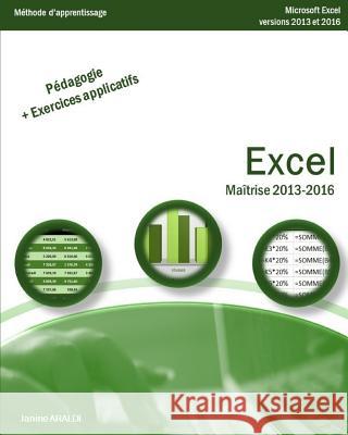 Excel Maîtrise 2013 - 2016 Araldi, Janine 9781986641258 Createspace Independent Publishing Platform