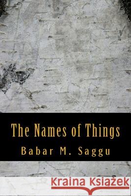 The Names of Things Babar M. Saggu 9781986642620