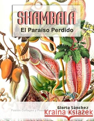 Shambala: El paraíso perdido Sánchez, Gloria, López, Toni 9781986664417