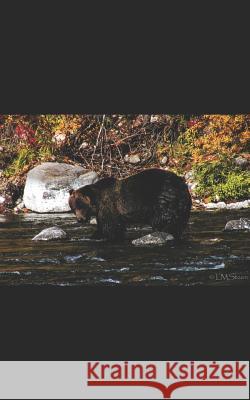 Babies, Barrels, and Bears L. M. Steen 9781986705592 Createspace Independent Publishing Platform