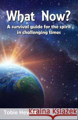 What Now?: A survival guide for the spirit in challenging times Hewitt, Tobie 9781986723220 Createspace Independent Publishing Platform