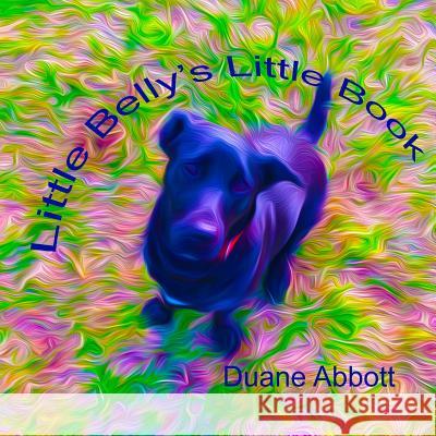 Little Belly's Little Book Mr Duane Abbott 9781986793414 Createspace Independent Publishing Platform