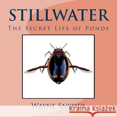 Stillwater: The Secret Life of Ponds Wayne Snyder 9781986815789