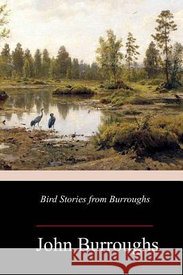 Bird Stories from Burroughs John Burroughs 9781987402445 Createspace Independent Publishing Platform