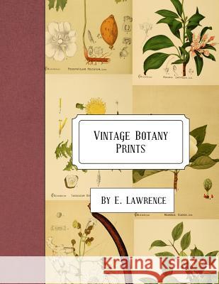 Vintage Botany Prints E. Lawrence 9781987460414 Createspace Independent Publishing Platform