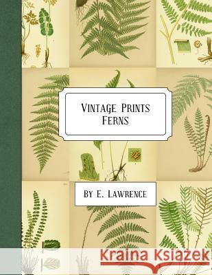 Vintage Prints: Ferns E. Lawrence 9781987530902 Createspace Independent Publishing Platform