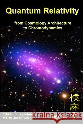 Quantum Relativity: From Cosmology Architecture to Chromodynamics Puma Tse 9781987591576 Createspace Independent Publishing Platform