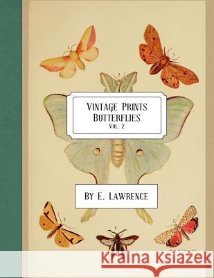 Vintage Prints: Butterflies: Vol. 2 E. Lawrence 9781987596557 Createspace Independent Publishing Platform