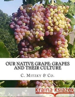 Our Native Grape: Grapes and Their Culture: A List of Old and New Grape Varieties C. Mitzky Co Roger Chambers 9781987609363 Createspace Independent Publishing Platform