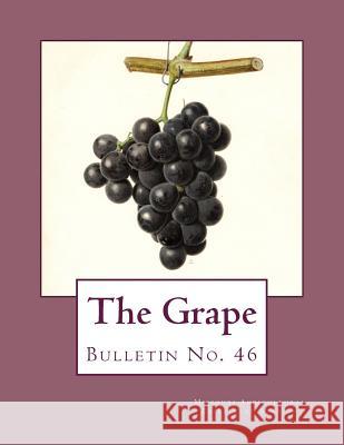 The Grape: Bulletin No. 46 Missouri Agricultural Experiment Station J. C. Whitten Roger Chambers 9781987625592 Createspace Independent Publishing Platform