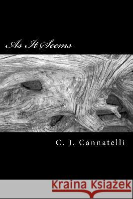 As It Seems: Poems for the Broken C. J. Cannatelli 9781987647167 Createspace Independent Publishing Platform