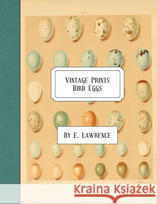 Vintage Prints: Bird Eggs E. Lawrence 9781987647402 Createspace Independent Publishing Platform