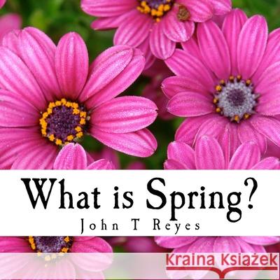 What is Spring? John T. Reyes 9781987648997 Createspace Independent Publishing Platform