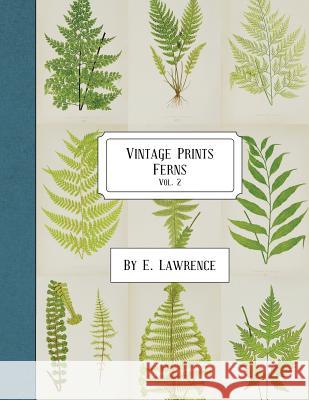 Vintage Prints: Ferns: Vol. 2 E. Lawrence 9781987650631 Createspace Independent Publishing Platform