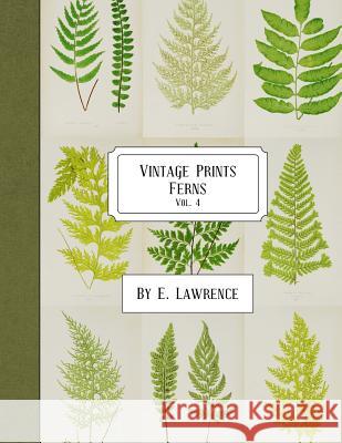 Vintage Prints: Ferns: Vol. 4 E. Lawrence 9781987654417 Createspace Independent Publishing Platform