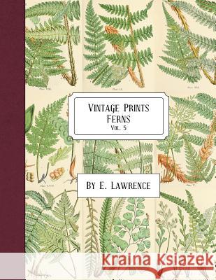 Vintage Prints: Ferns: Vol. 5 E. Lawrence 9781987676310 Createspace Independent Publishing Platform