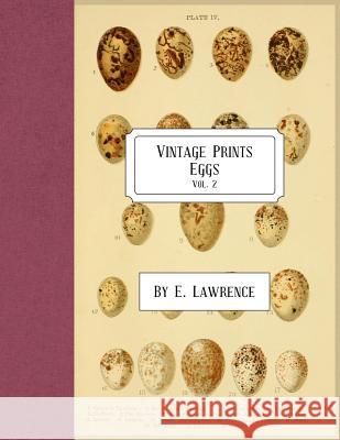 Vintage Prints: Eggs: Vol. 2 E. Lawrence 9781987715255 Createspace Independent Publishing Platform