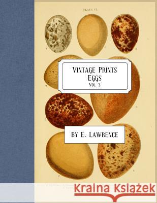 Vintage Prints: Eggs: Vol. 3 E. Lawrence 9781987738193 Createspace Independent Publishing Platform