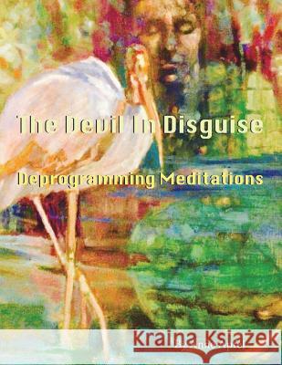 The Devi in Disguise: Deprogramming Meditations Anne Elizabeth Apfel 9781987768312