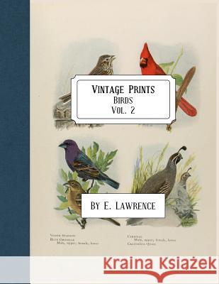 Vintage Prints: Birds: Vol. 2 E. Lawrence 9781987797343 Createspace Independent Publishing Platform