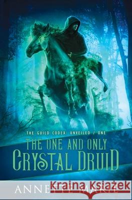 The One and Only Crystal Druid Annette Marie 9781988153599