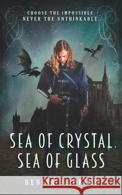 Sea of Crystal, Sea of Glass Benita J. Prins 9781988615189 Prickly Valley Publications