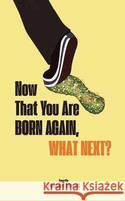 Now That You Are Born Again, What Next? Emmanuel Adewusi 9781989099643 Cccg Publishing House