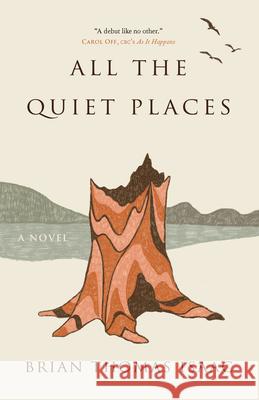 All the Quiet Places Brian Thomas Isaac 9781990071027