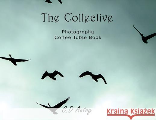 The Collective: Photography Coffee Table Book C. D. Autry 9781990078835 Preston Squire Publishing