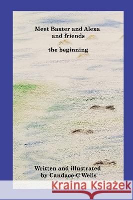 Meet Baxter and Alexa and friends: the beginning Candace C. Wells 9781990677274