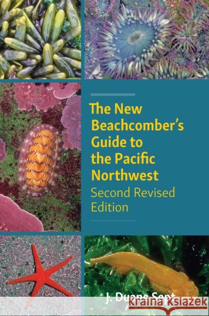 The New Beachcomber's Guide to the Pacific Northwest: Second Revised Edition J. Duane Sept 9781990776731 Harbour Publishing