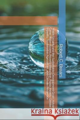 Water Security and the Sustainable Development Goals: Advancing Clean Water Access, Poverty Reduction, Public Health, Gender Equality, Sustainable Agr Robert C. Brears 9781991370938 Our Future Water