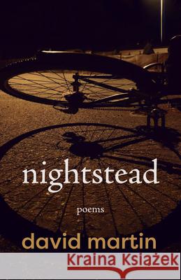 Nightstead David Martin 9781997508052 Palimpsest Press