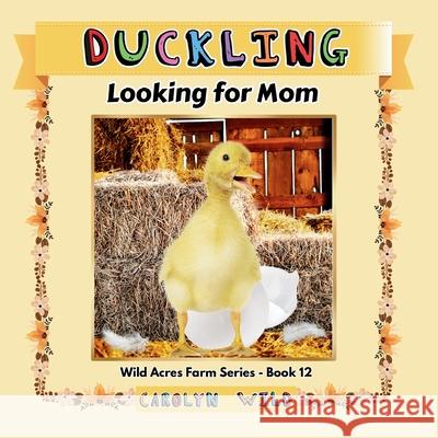 Duckling: Looking For Mom Carolyn Wild 9781998062249 Wild Acres Books