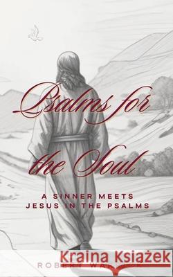 Psalms for the Soul: A Sinner meets Jesus in the Psalms Robert Warrick 9781998188178