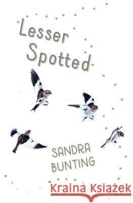 Lesser Spotted Sandra Bunting   9781999461812