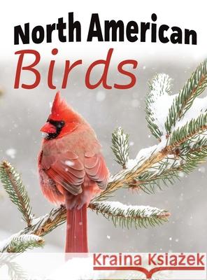 North American Birds Lasting Happiness 9781999548735 Lasting Happiness