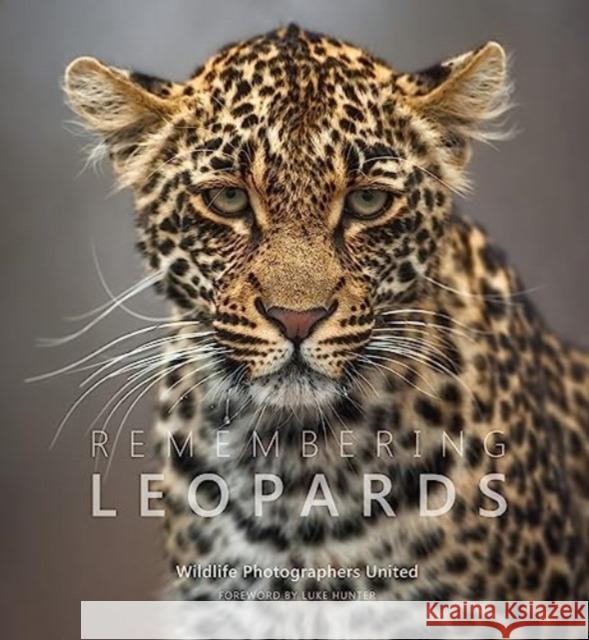 Remembering Leopards  9781999643379 Remembering Wildlife
