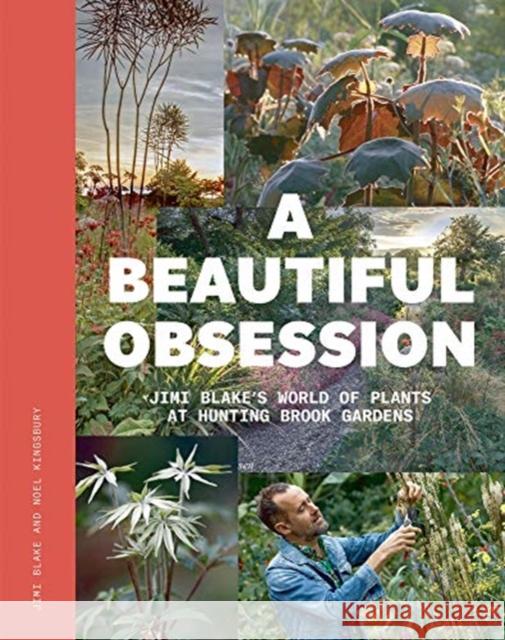 A Beautiful Obsession: Jimi Blake's World of Plants at Hunting Brook Gardens Jimi Blake Noel Kingsbury 9781999734527 Filbert Press