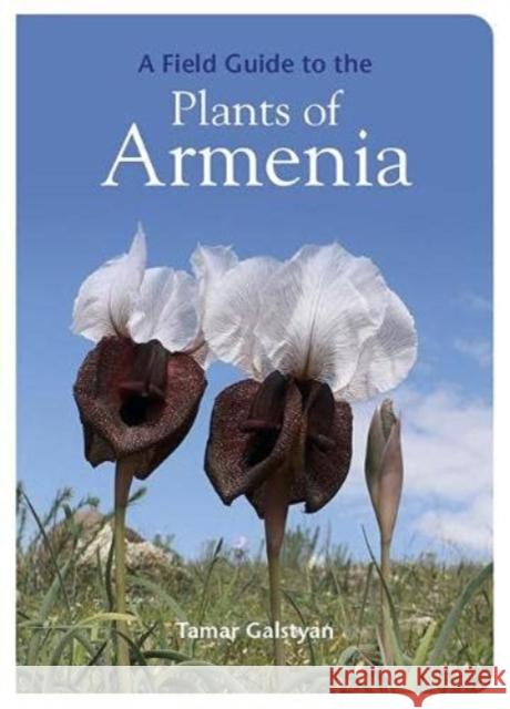 FIELD GUIDE TO THE PLANTS OF ARMENIA TAMAR GALSTYAN 9781999734589 Filbert Press